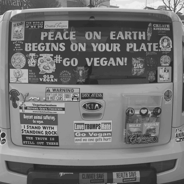 Vegan Car