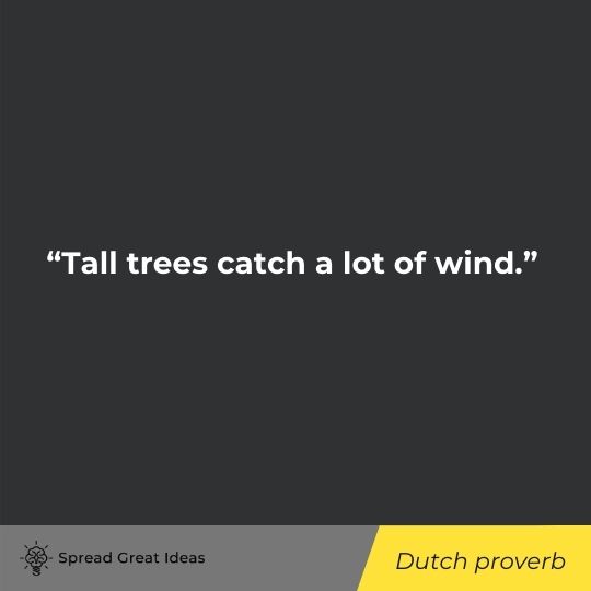 Dutch proverb quote on adversity