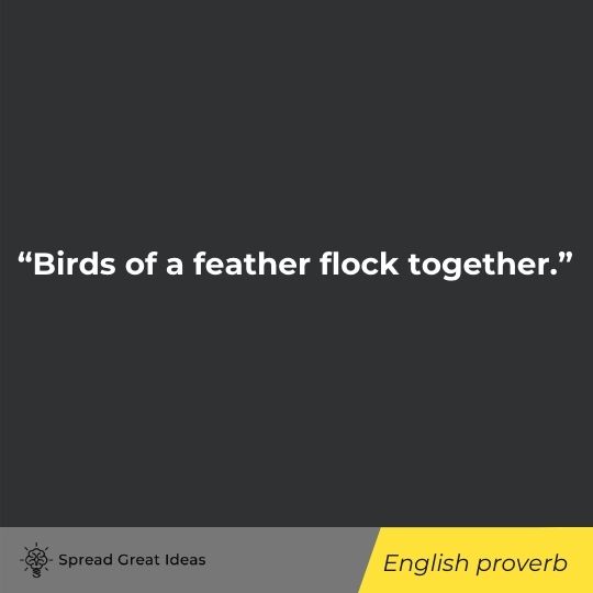 English proverb quote on community