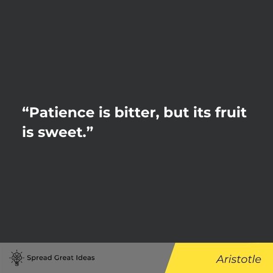Aristotle quote on patience