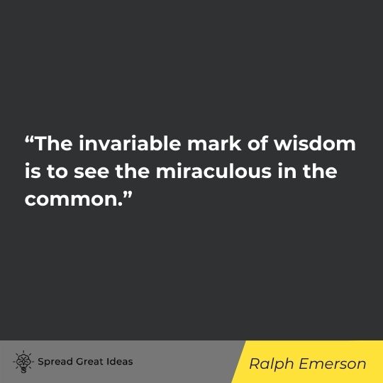 Wisdom & Philosophy (17)