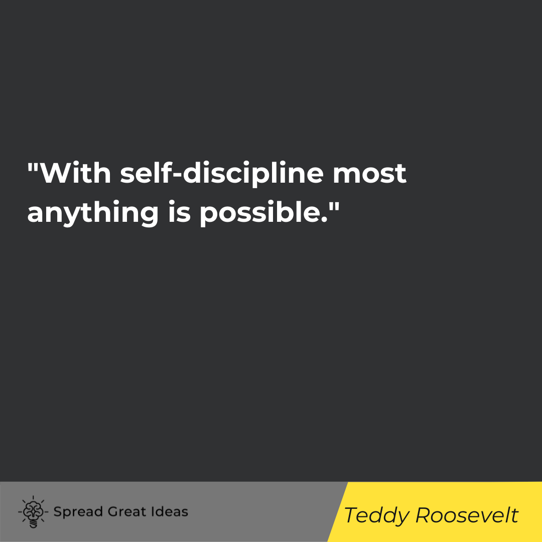Teddy Roosevelt quote on hard work