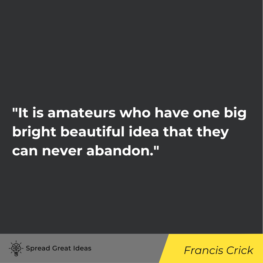It is amateurs who have one big bright beautiful idea that they can never abandon. Professionals kno...