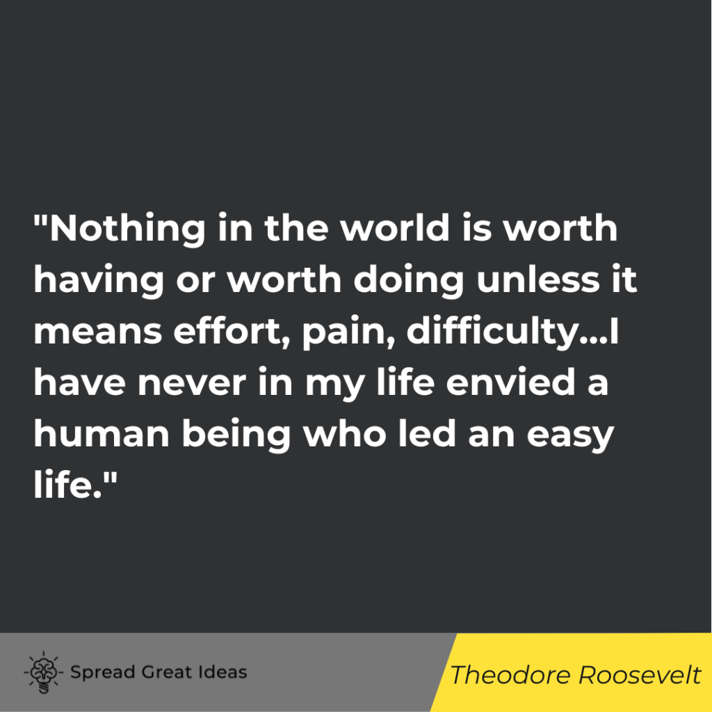 Theodore Roosevelt quote on hard work
