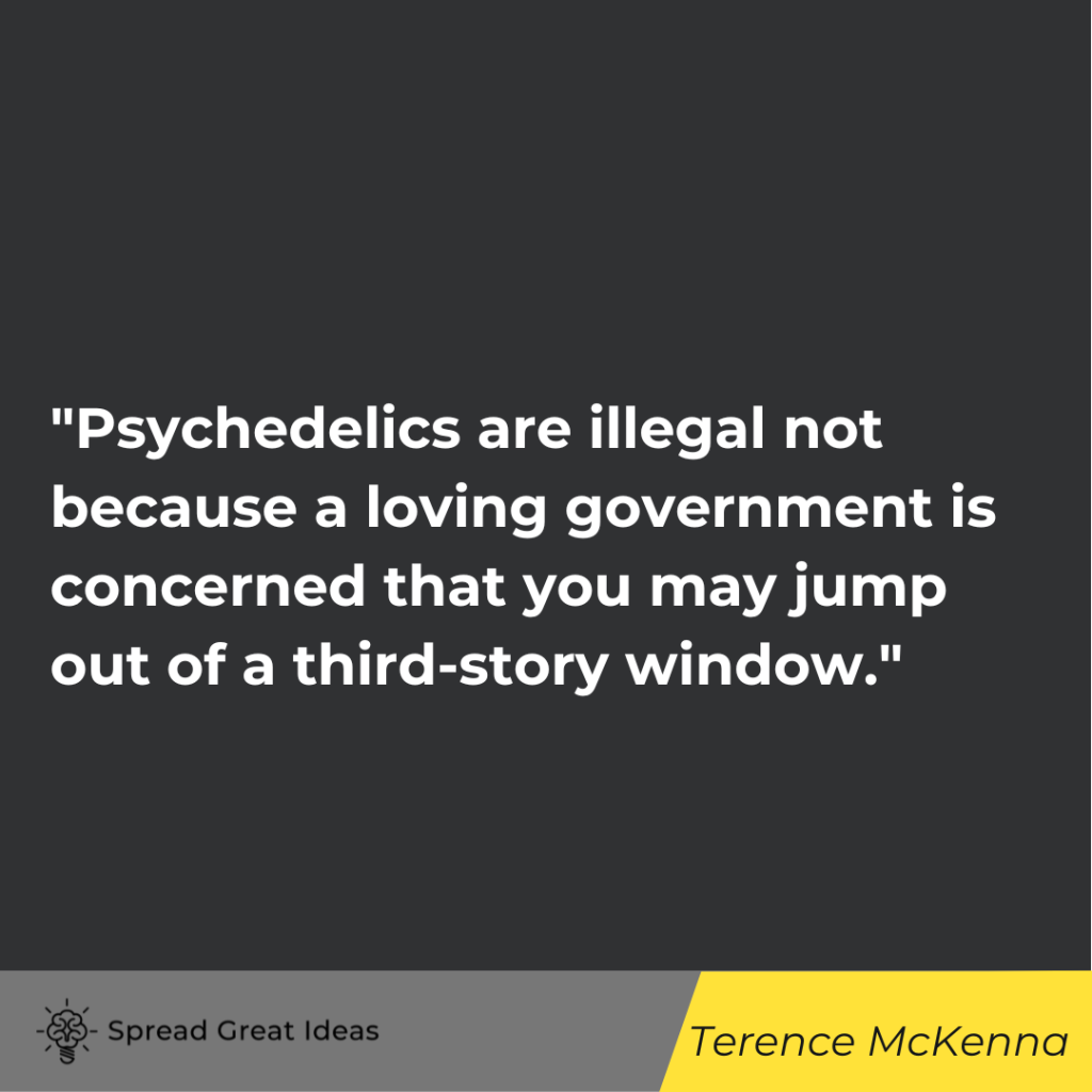 Terence McKenna quote on psychedelics