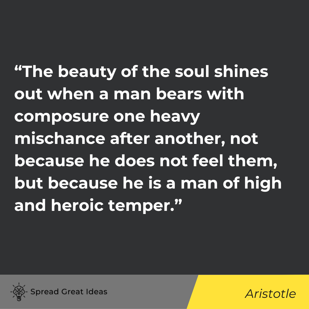 Aristotle quote on adversity and the soul