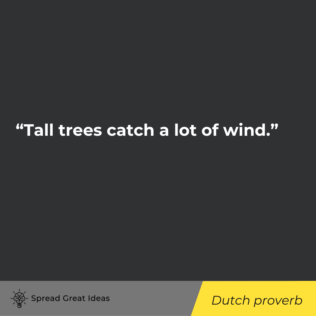 Dutch proverb on adversity