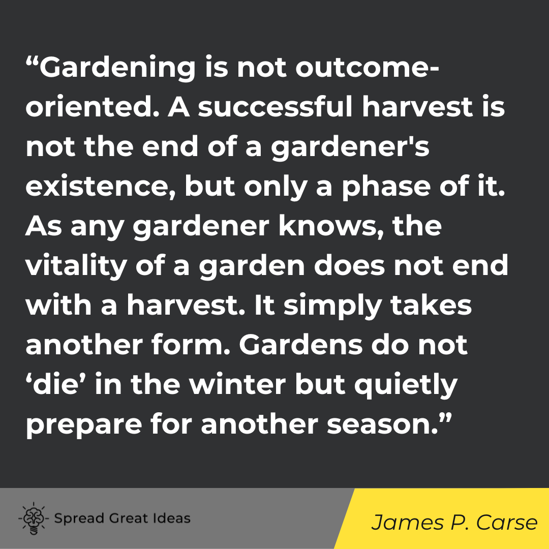 James P. Carse quote on patience