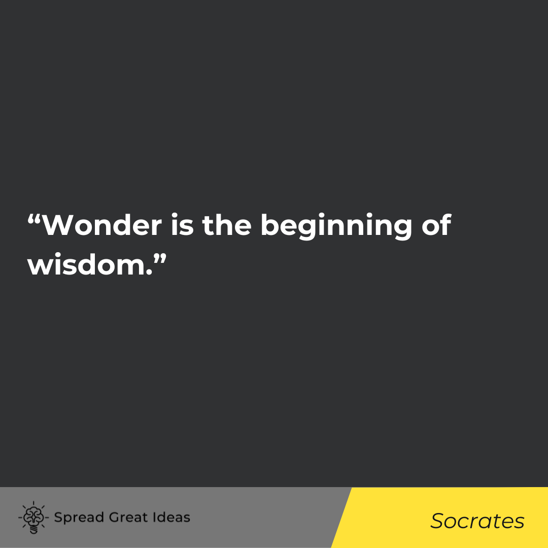 Socrates quote on wisdom