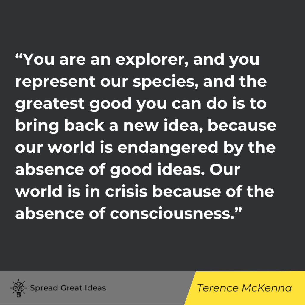 Terence McKenna quote on explorer