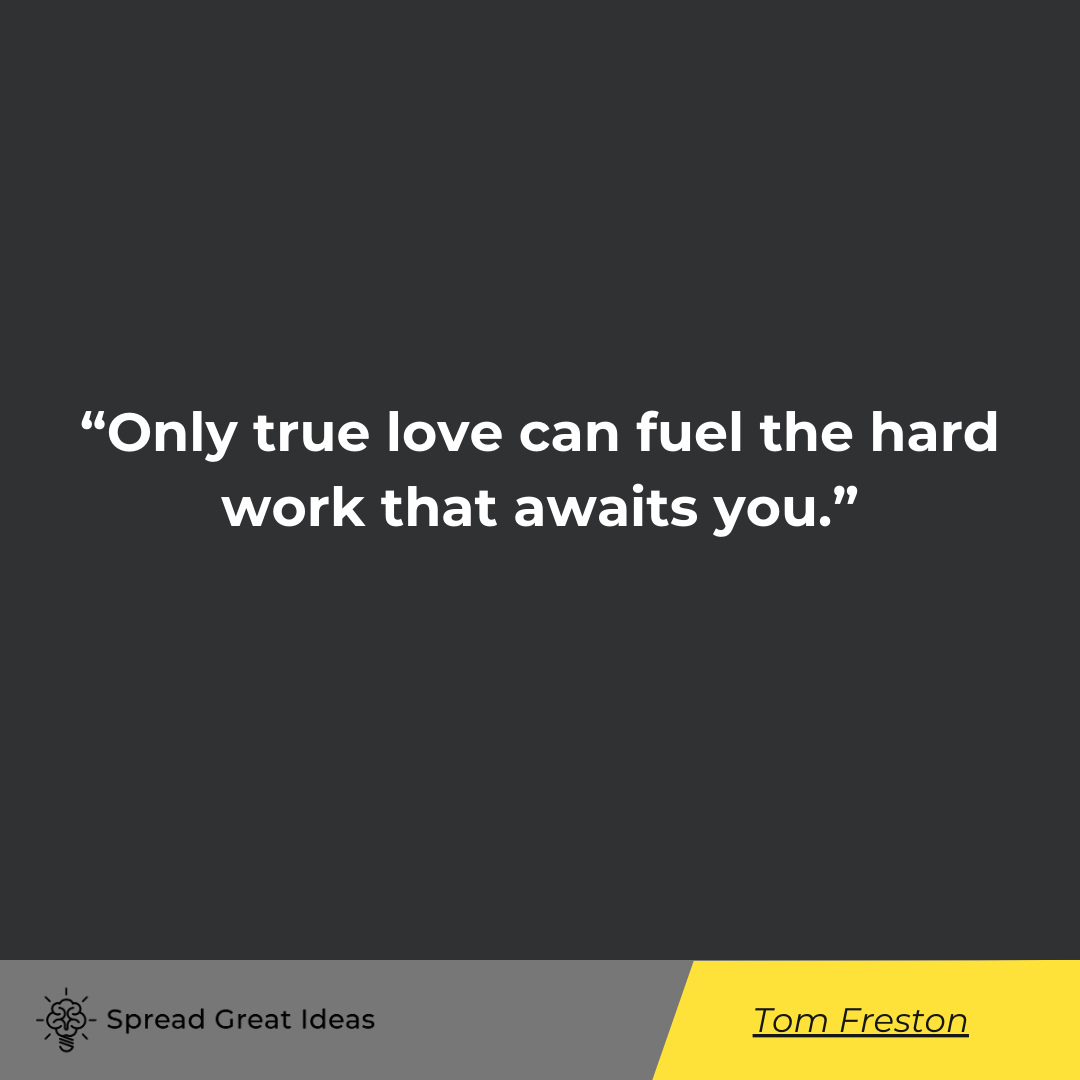 Tom Freston Quote