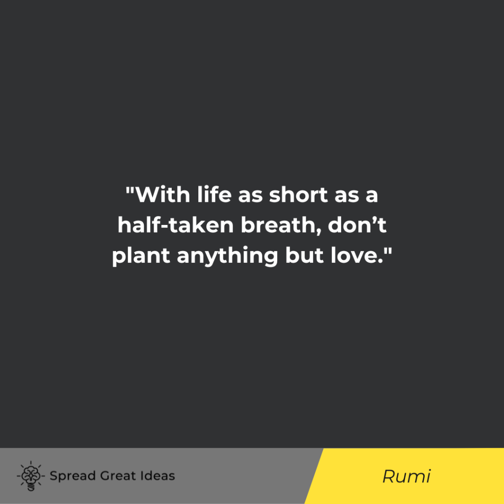 Rumi quote on life is short