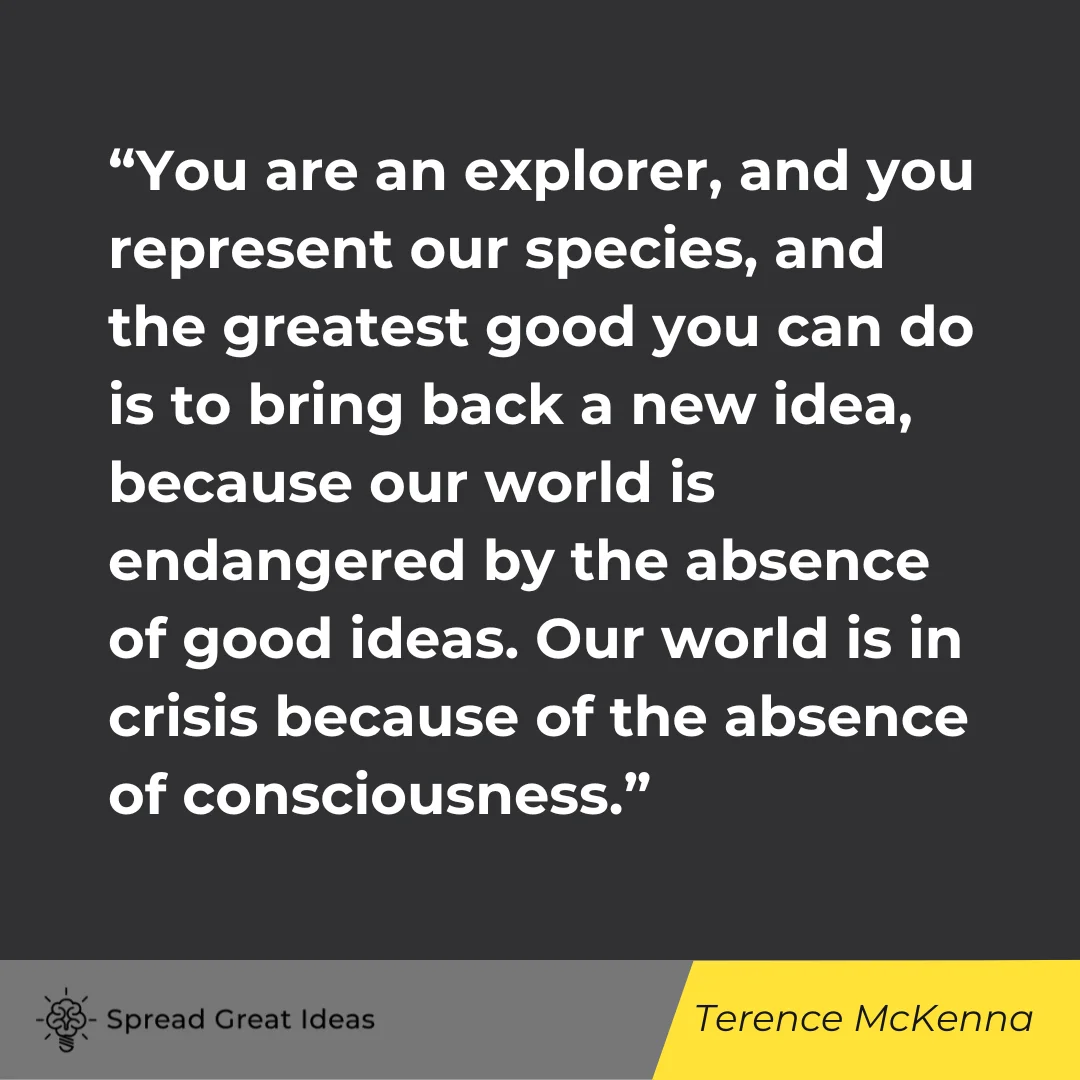 Terence McKenna on Explorer Quotes