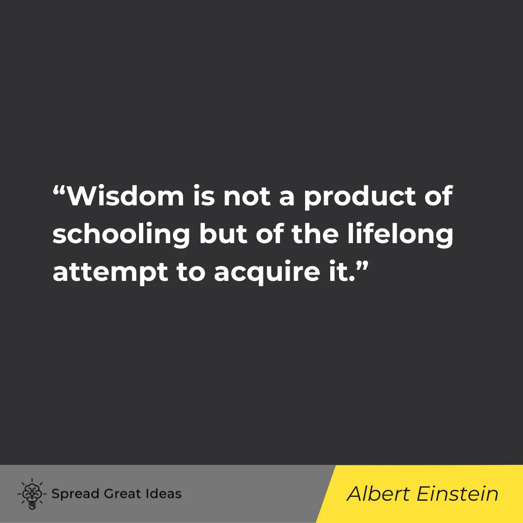 Albert Einstein on Education, Self-Education, and Lifelong Learning Quotes