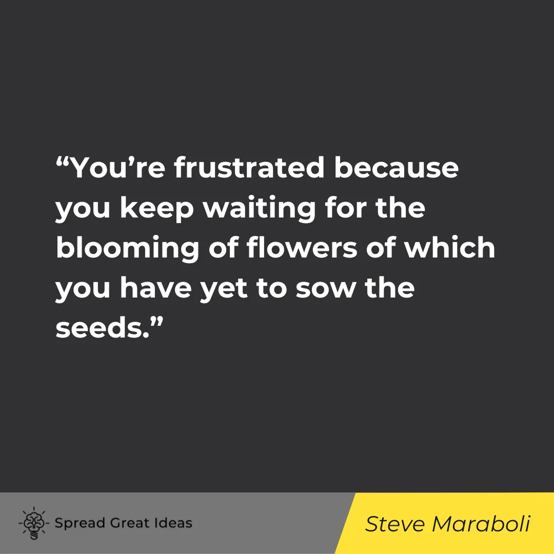 Steve Maraboli on Frustrated Quote