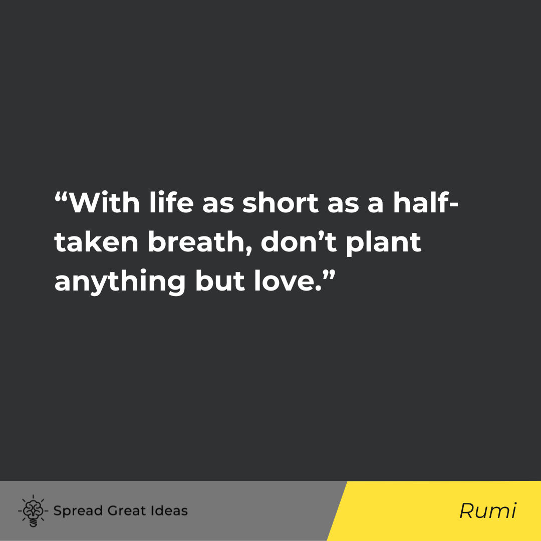 Rumi on Life is Short Quotes