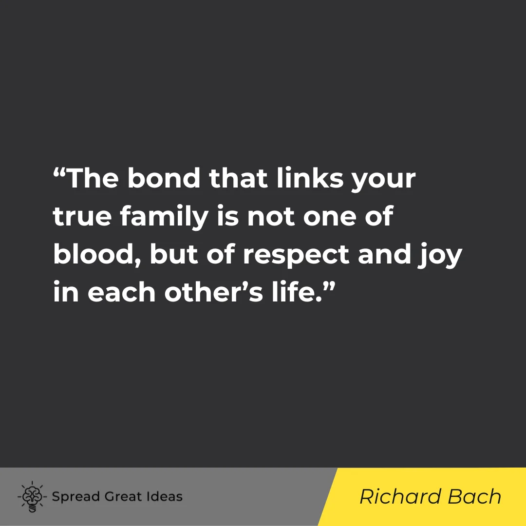 Richard Bach on Respect Quotes