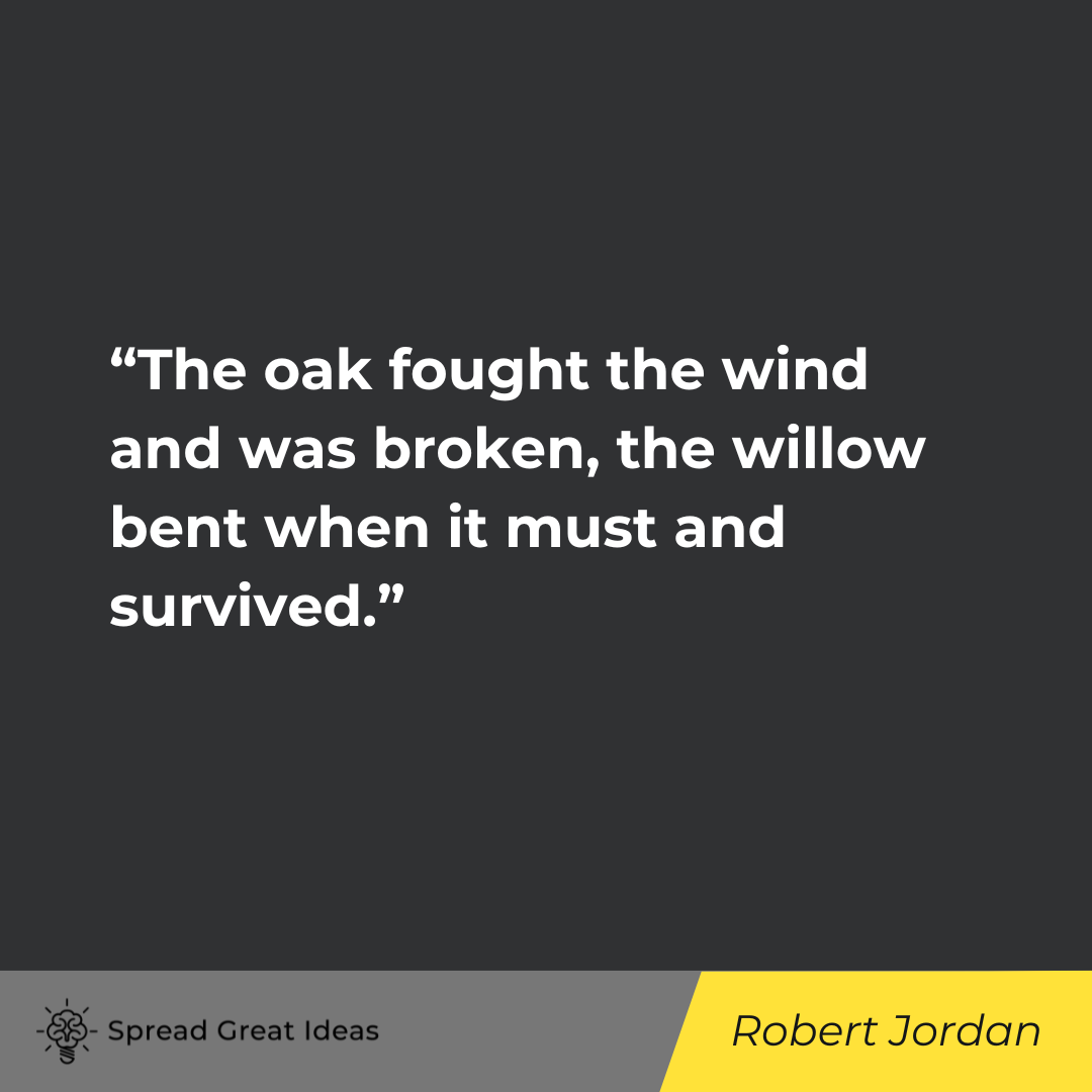 Robert Jordan on Resilience Quotes