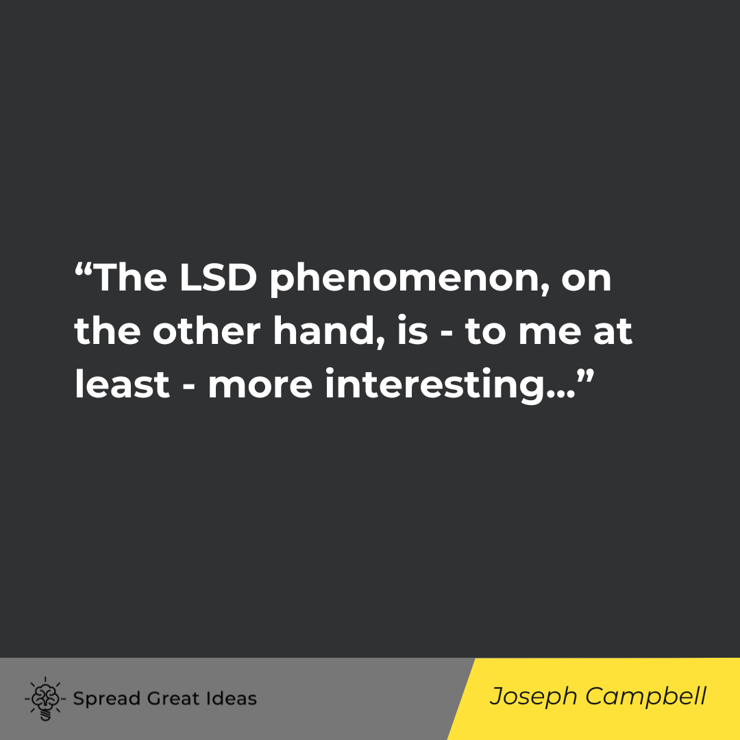 Joseph Campbell on Psychedelics Quotes