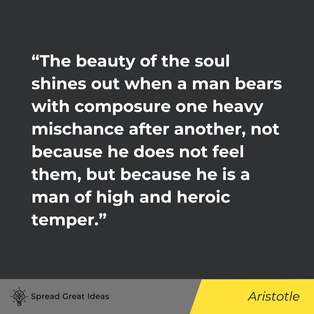 Aristotle on Adversity Quotes