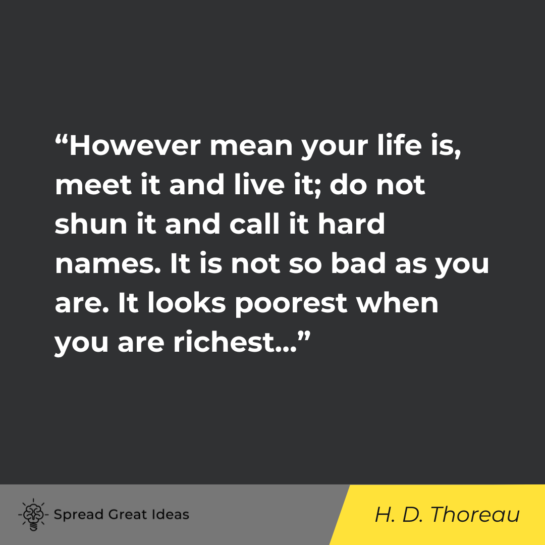 Henry David Thoreau on Adversity Quotes