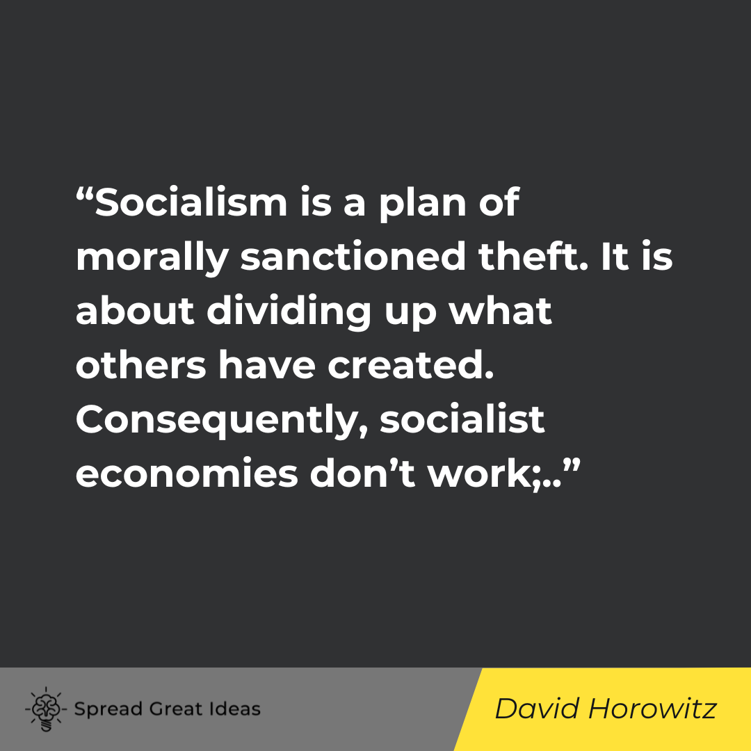 David Horowitz Quote on Capitalism