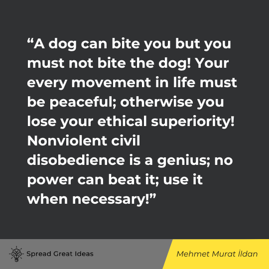 Mehmet Murat Ildan Quote on Civil Disobedience