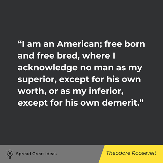 Theodore Roosevelt Quote on Liberty