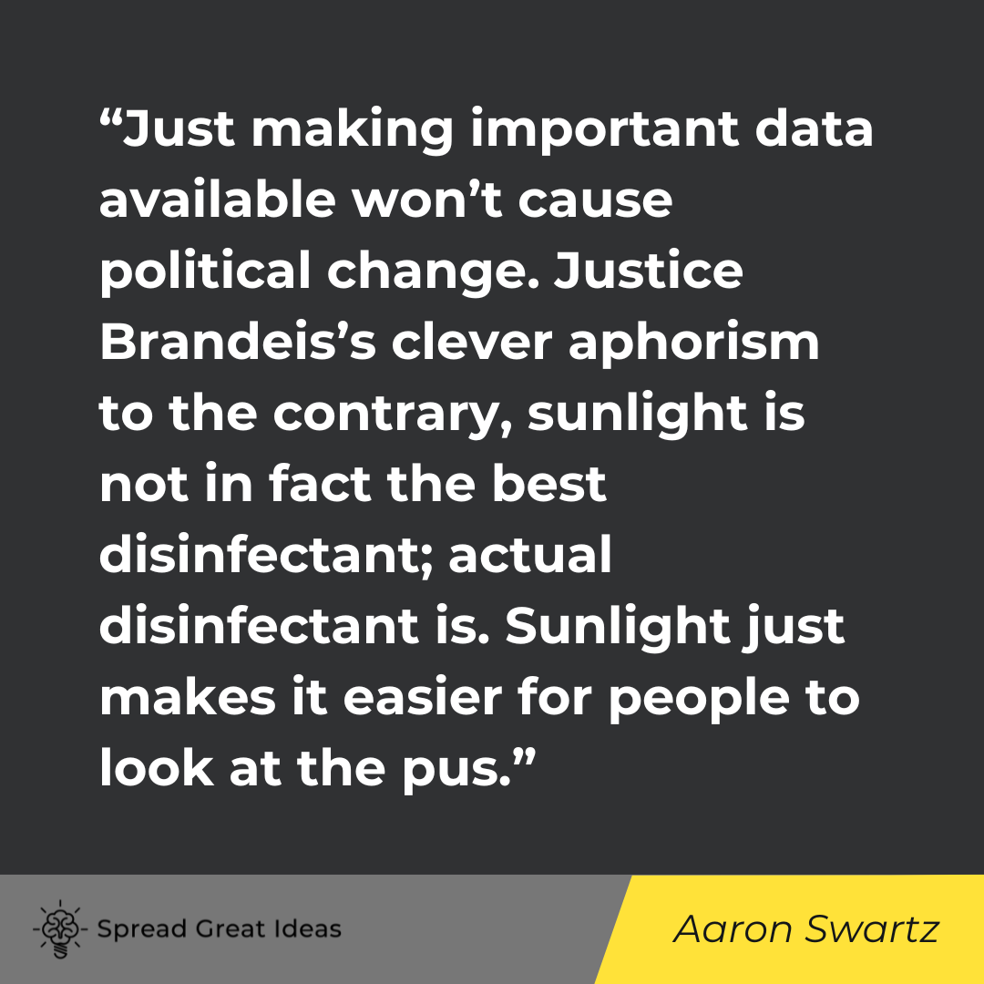 Aaron Swartz on Government Transparency Quotes