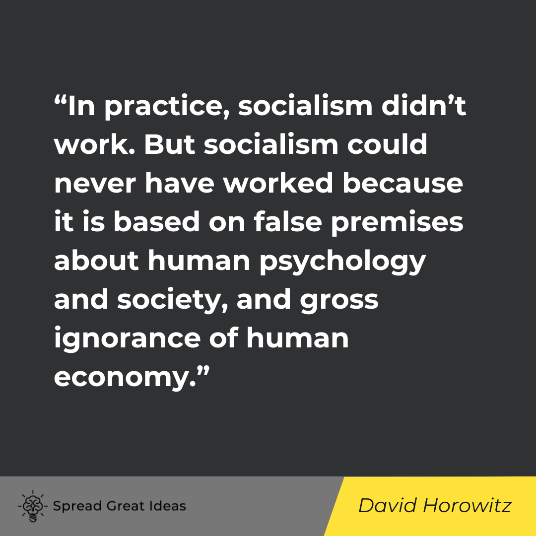 David Horowitz Quote on Socialism
