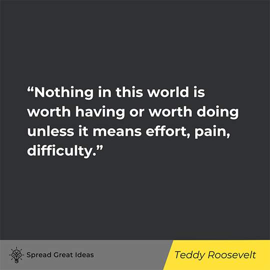 Teddy Roosevelt Quote