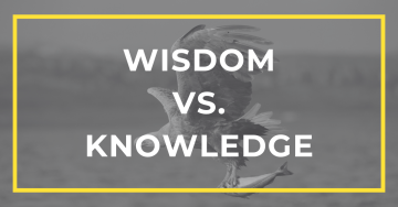 Wisdom vs knowledge featured image