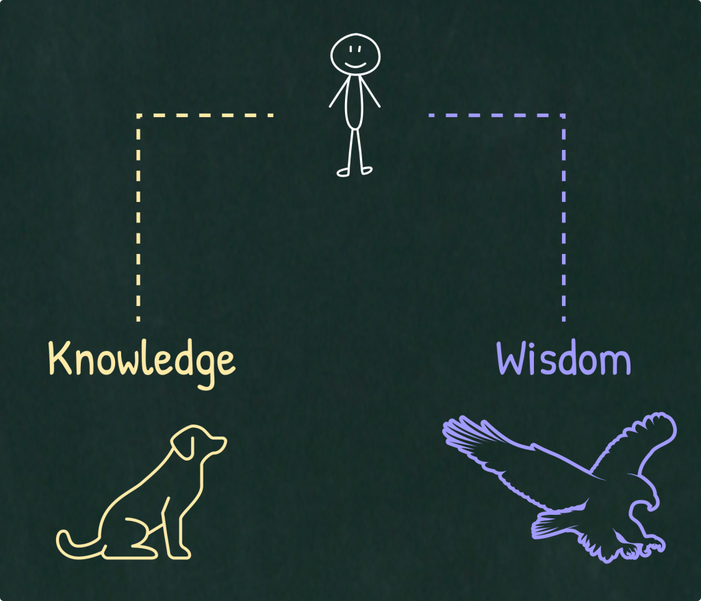 Knowledge vs. Wisdom