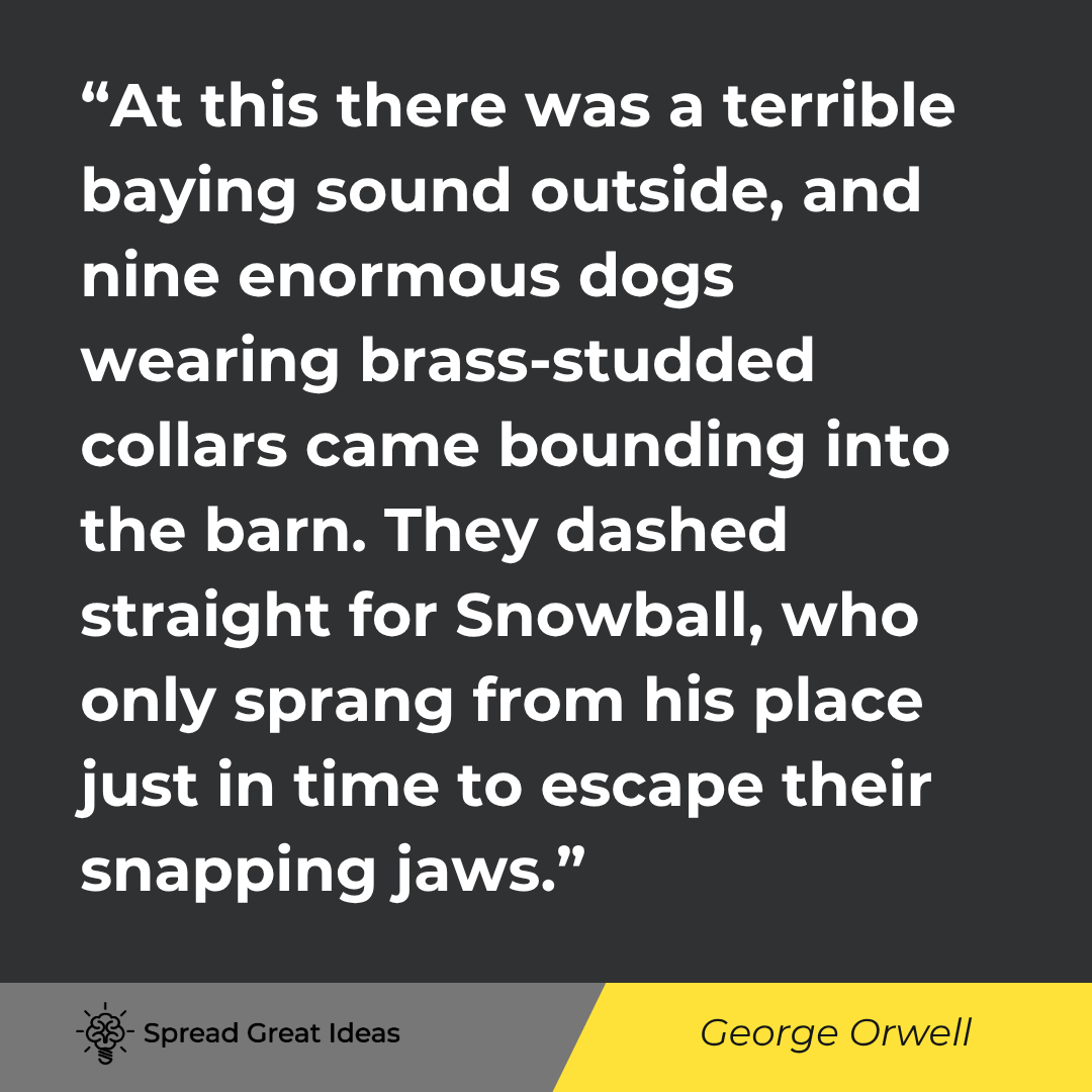 George Orwell quote: At this there was a terrible baying sound outside, and nine enormous dogs wearing brass-studded coll