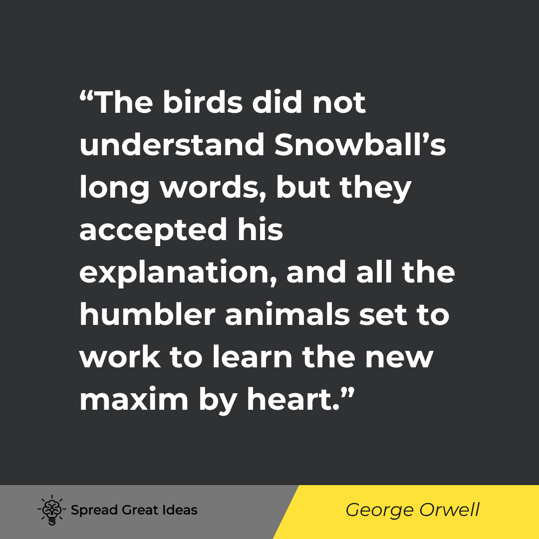 George Orwell quote: The birds did not understand Snowball's long words, but they accepted his explanation, and all the h