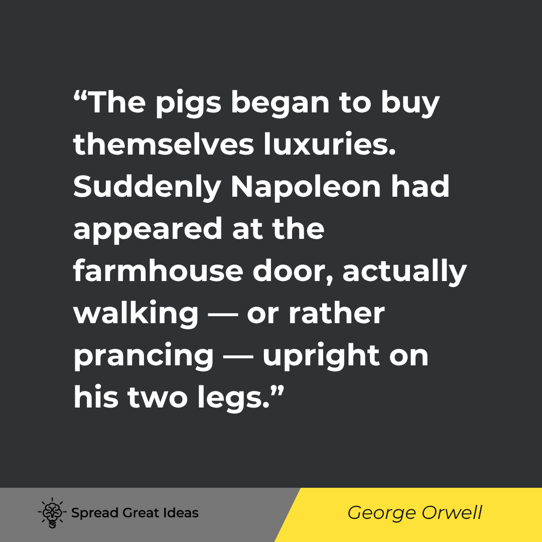 George Orwell quote: The pigs began to buy themselves luxuries. Suddenly Napoleon had appeared at the farmhouse door, act