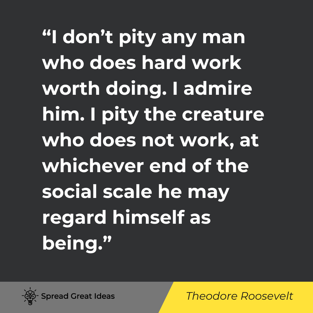 Theodore Roosevelt quote: I don’t pity any man who does hard work worth doing. I admire him. I pity the creature who does not