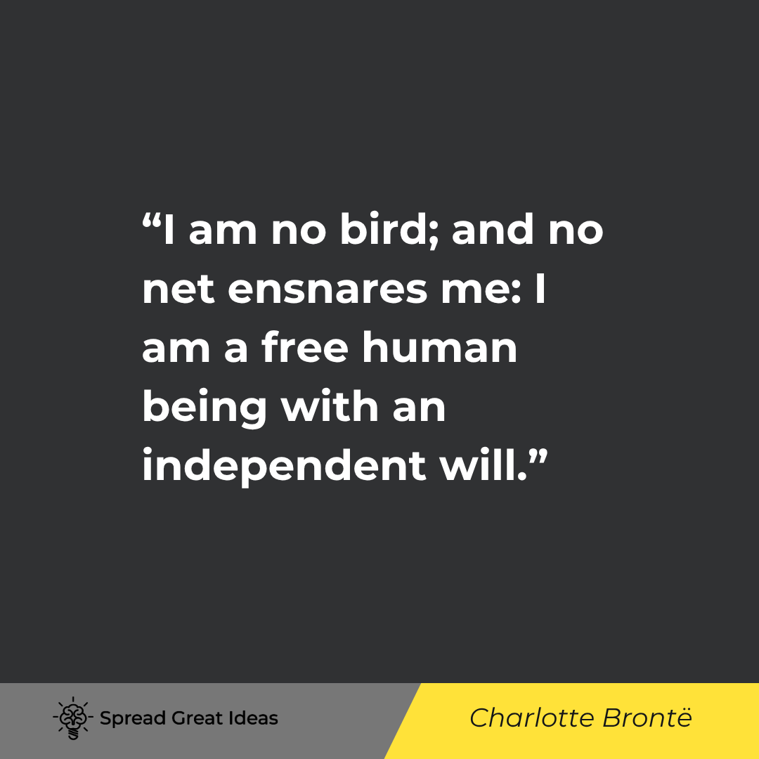 I am no bird; and no net ensnares me: I am a free human being with an independent will.