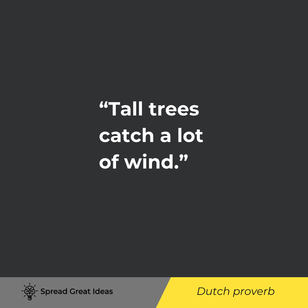 Tall trees catch a lot of wind.
