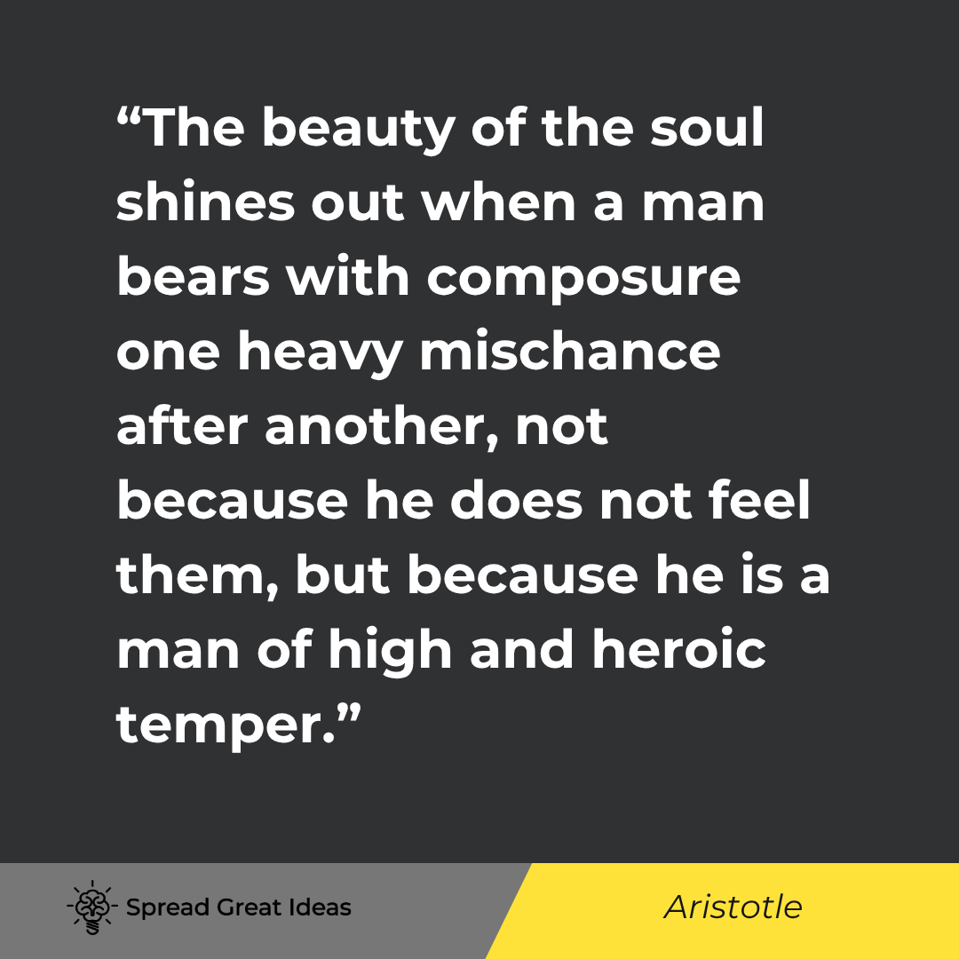 The beauty of the soul shines out when a man bears with composure one heavy mischance after another,...