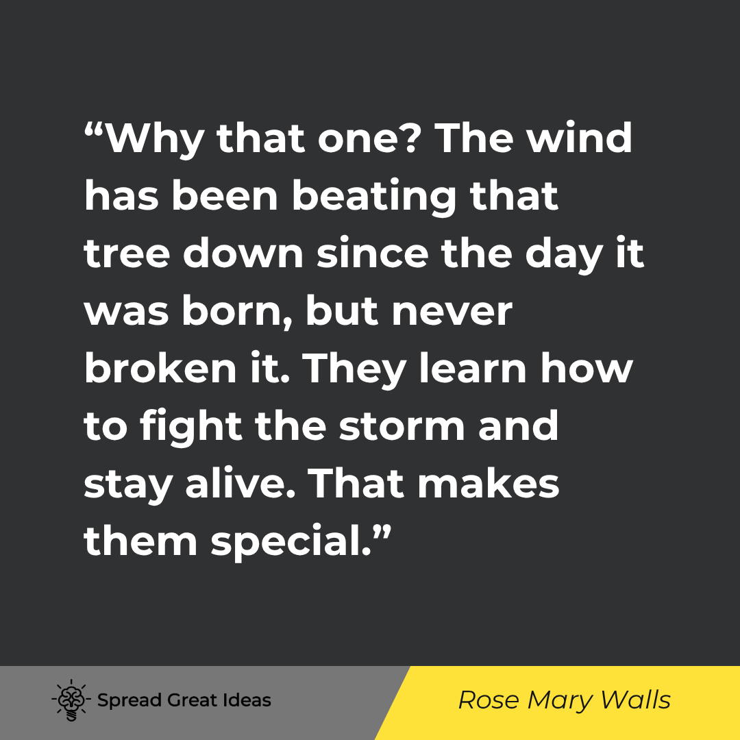 Why that one? The wind has been beating that tree down since the day it was born, but never broken i...