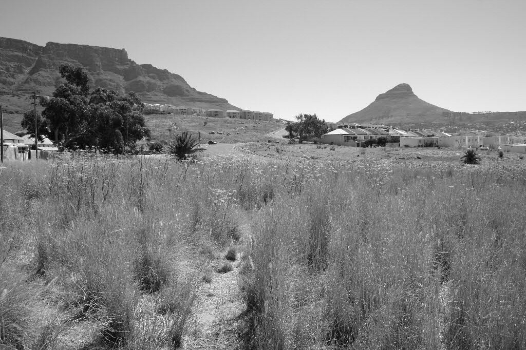 Empty grassland of the cleared District Six with Table Mountain and Lion's Head behind